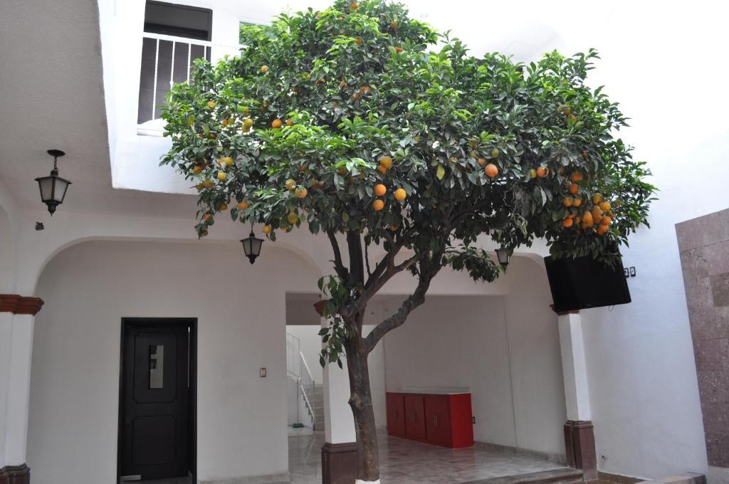 Hotel The Lit 13 Querétaro Exterior foto