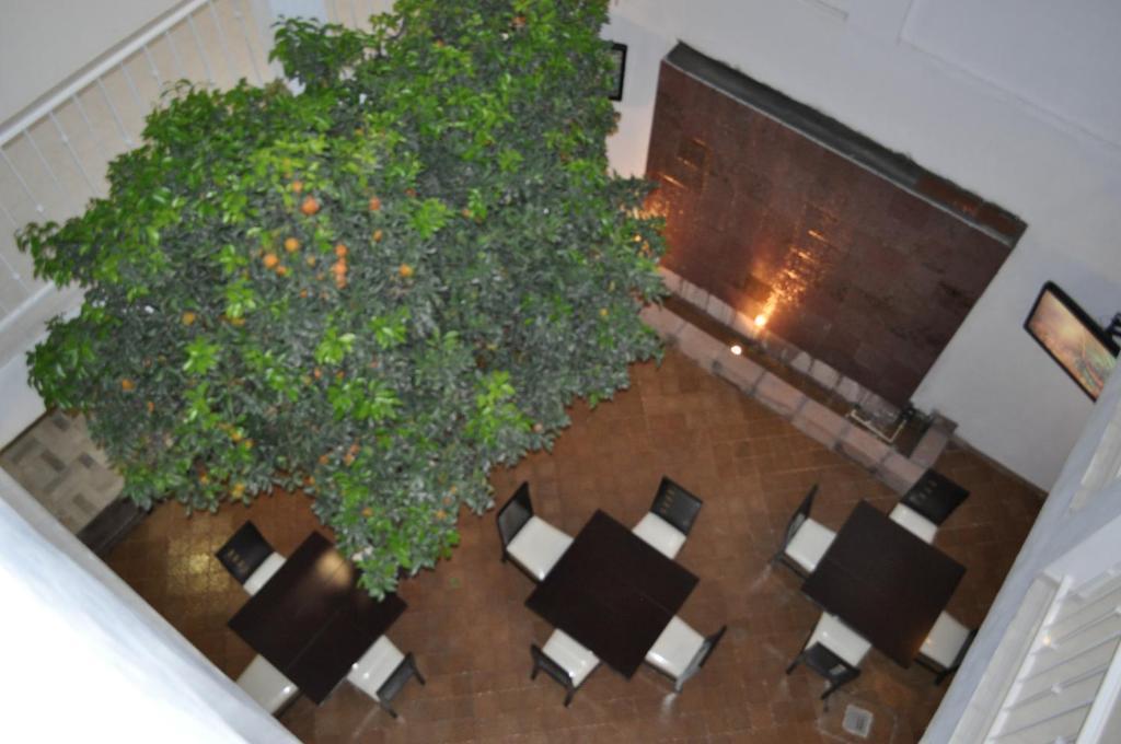 Hotel The Lit 13 Querétaro Exterior foto
