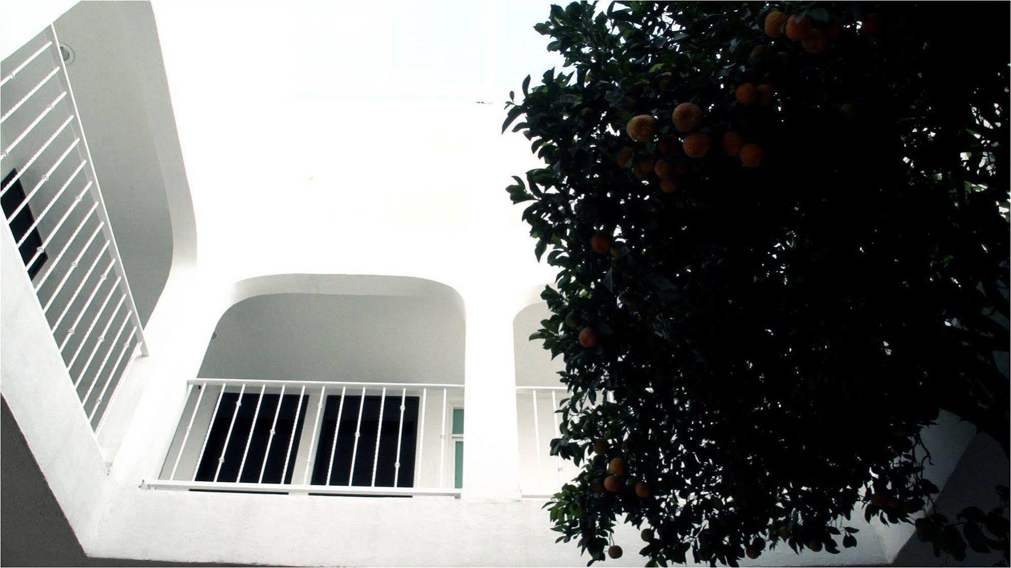Hotel The Lit 13 Querétaro Exterior foto